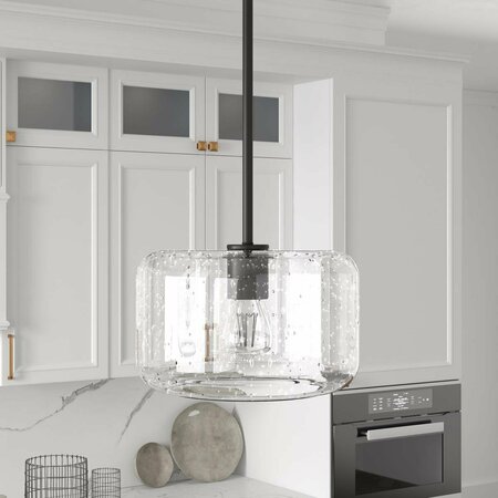 HUDSON & CANAL 11 in. Channing Pendant with Glass Shade Blackened Bronze & Seeded PD1609